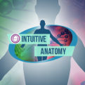 ThetaHealing Intuitive Anatomie